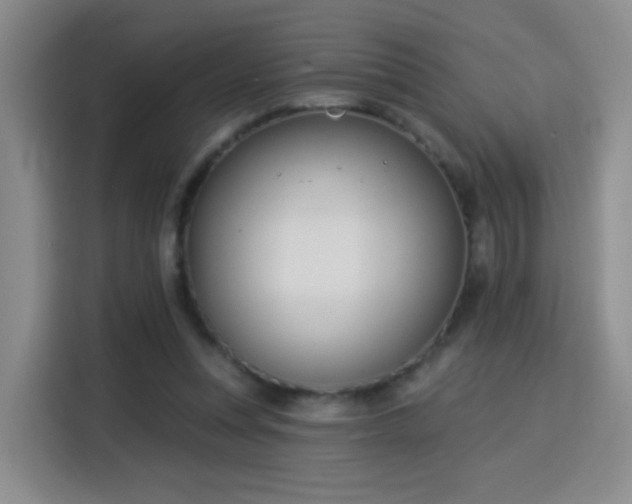 X0000115830351200911201510