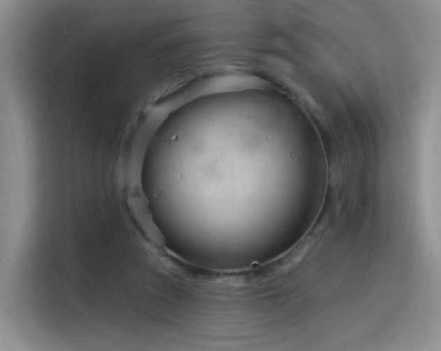 X0000115830353200911201510