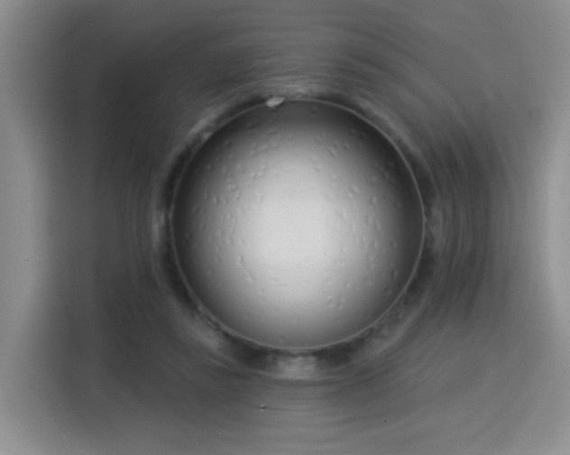 X0000115830355200911201510