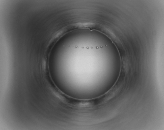 X0000115830357200911201510