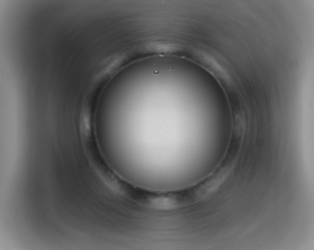 X0000115830358200911201510