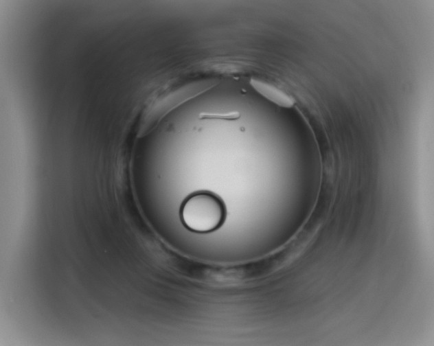 X0000115830359200911201510