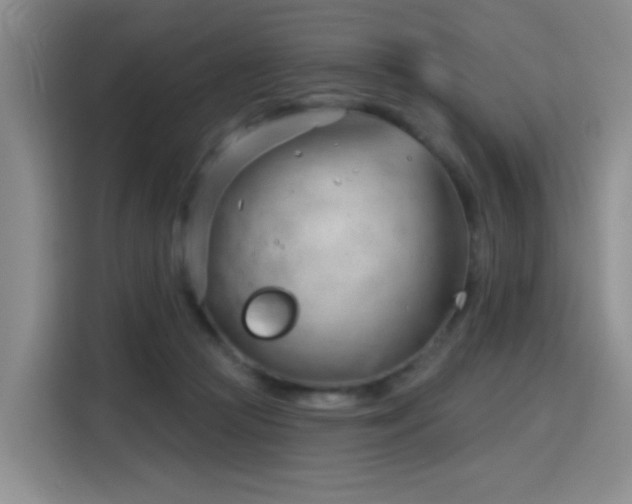 X0000115830361200911201510