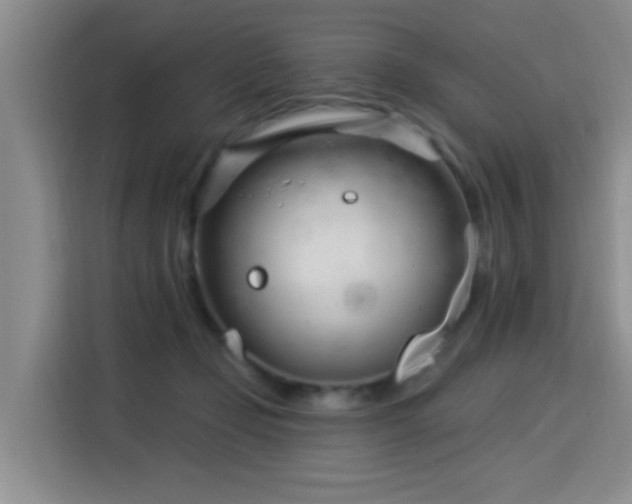 X0000115830365200911201510