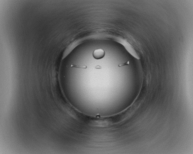 X0000115830366200911201510