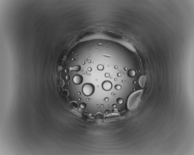 X0000115830371200911201510