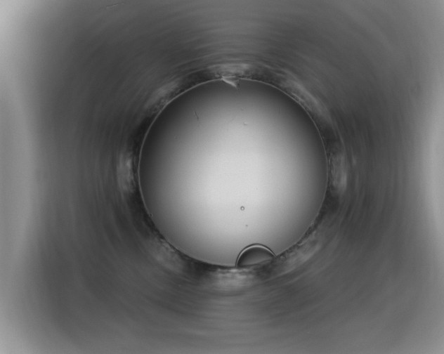 X0000115830378200911201510