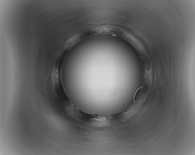 X0000115830381200911201510