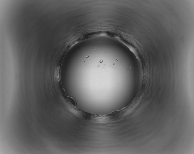 X0000115830383200911201510