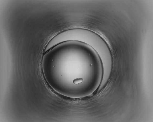 X0000115830385200911201509