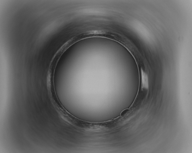 X0000115830387200911201509