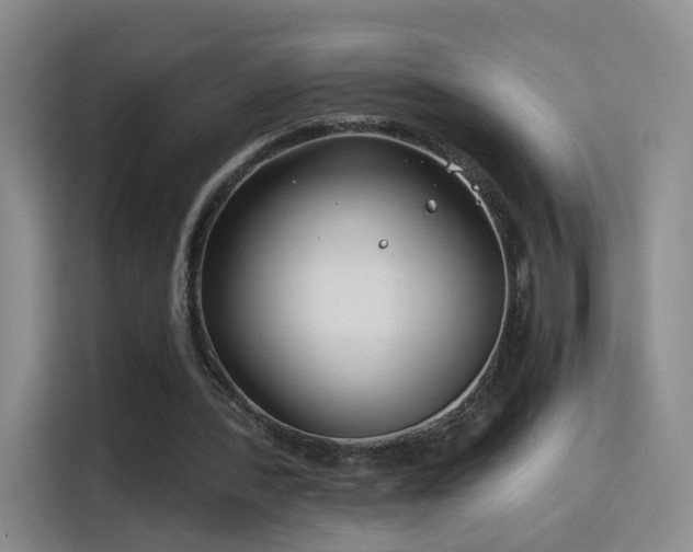 X0000115830388200911201509