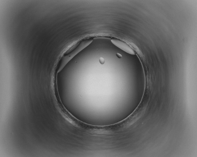 X0000115830389200911201509