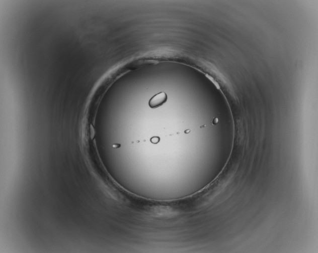 X0000115830392200911201509