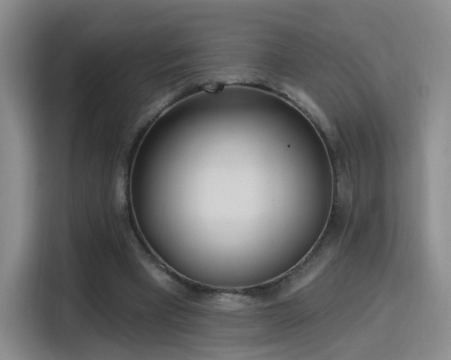 X0000115830393200911201509