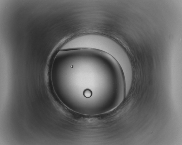 X0000115830395200911201509