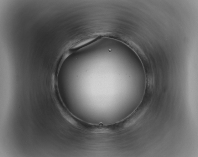 X0000115830397200911201509