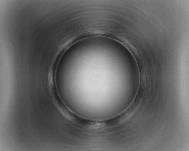 X0000115830398200911201509