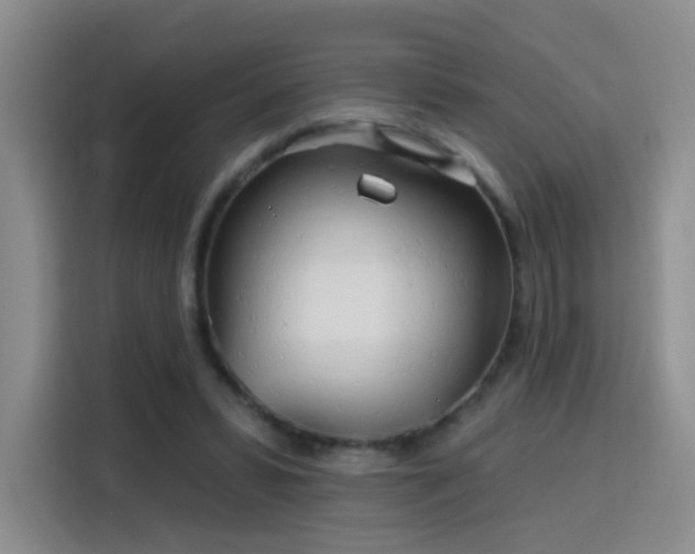 X0000115830399200911201509