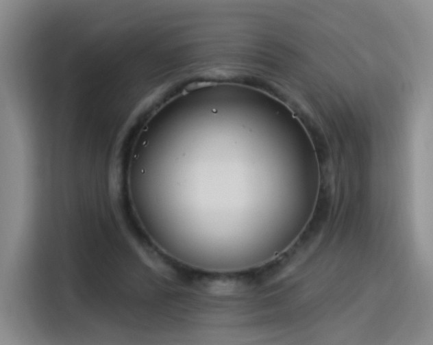 X0000115830400200911201509