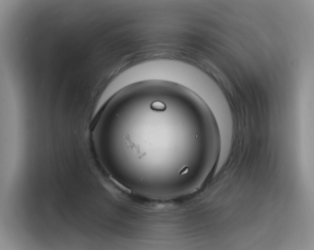 X0000115830401200911201509