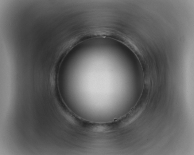 X0000115830402200911201509