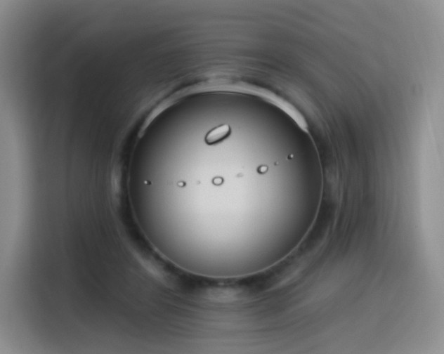 X0000115830404200911201509