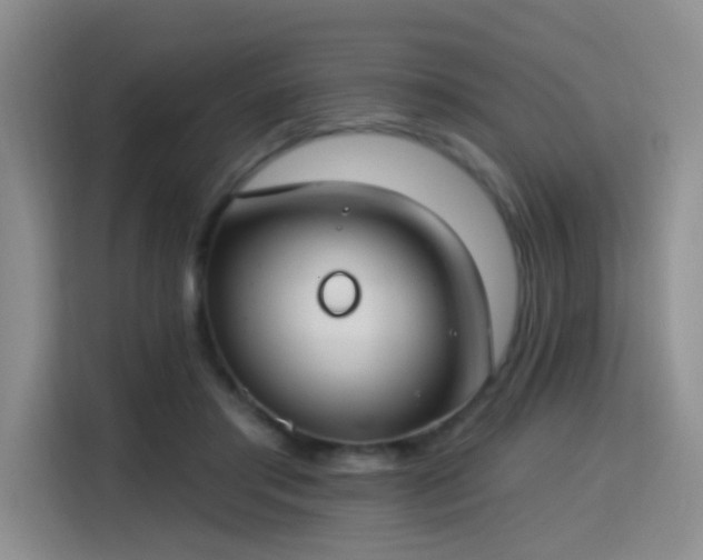 X0000115830405200911201509