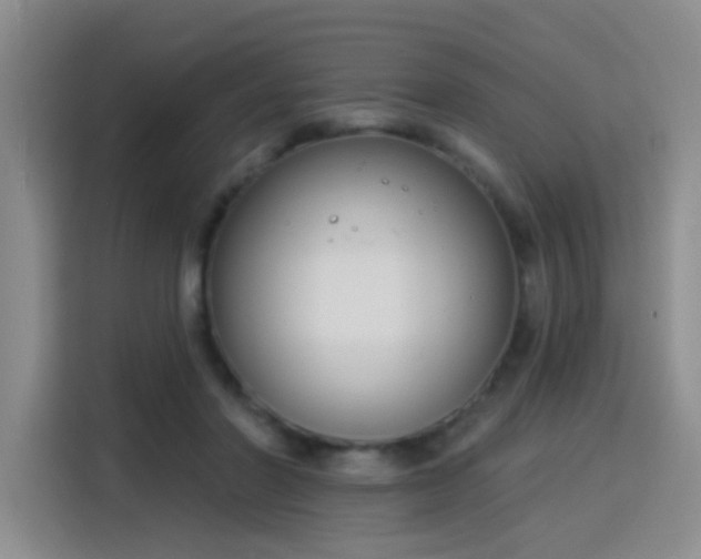 X0000115830406200911201509