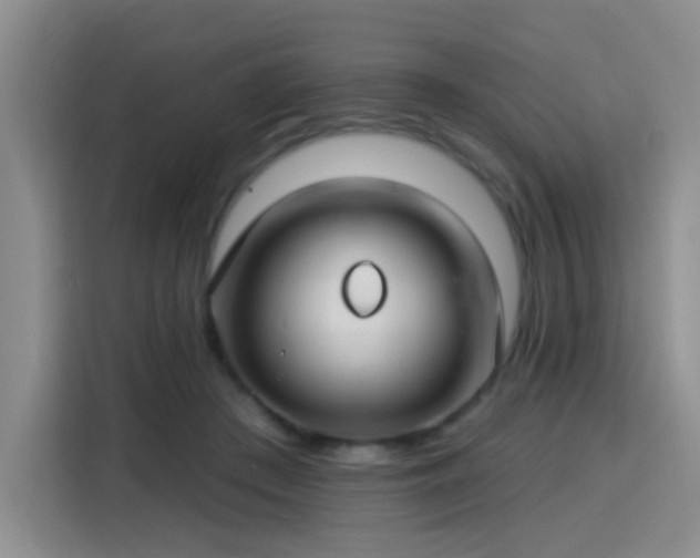 X0000115830409200911201509