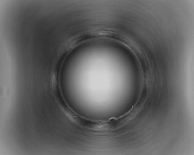 X0000115830410200911201509