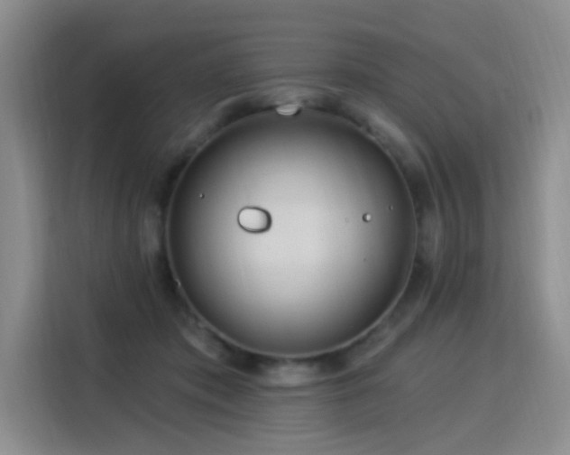 X0000115830413200911201509