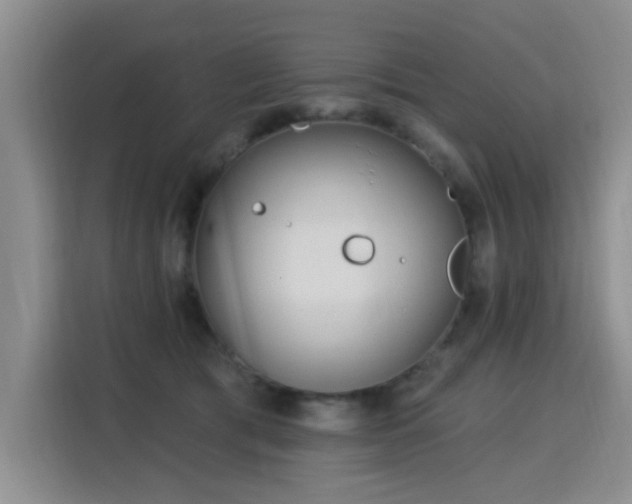 X0000115830417200911201509