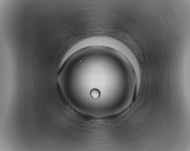 X0000115830419200911201509