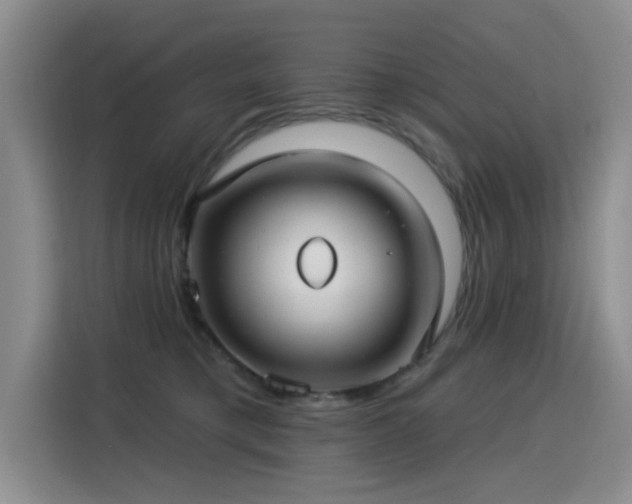 X0000115830421200911201509