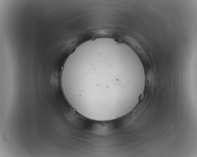 X0000115830423200911201509