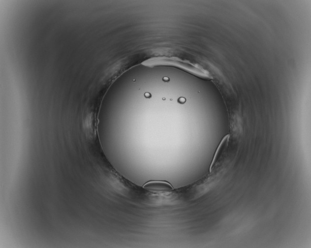 X0000115830428200911201509