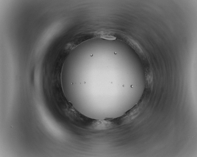 X0000115830429200911201509