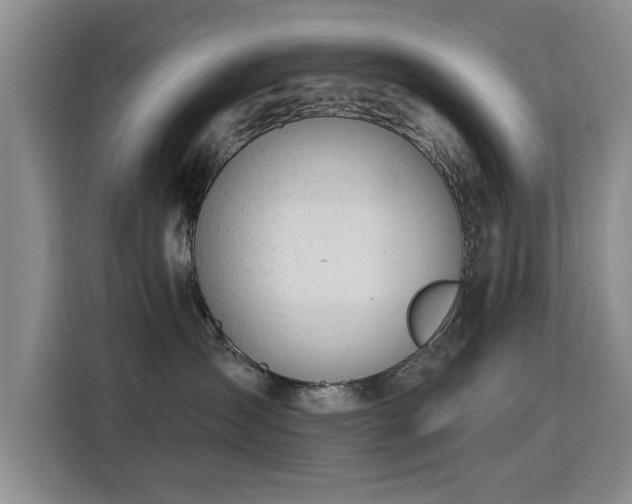 X0000115830431200911201509