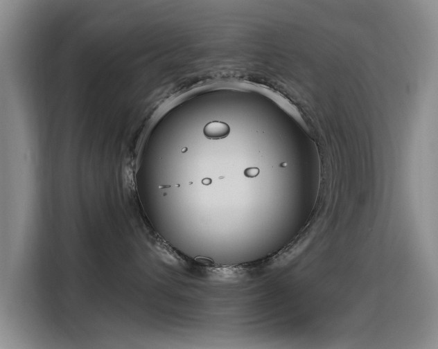 X0000115830432200911201509