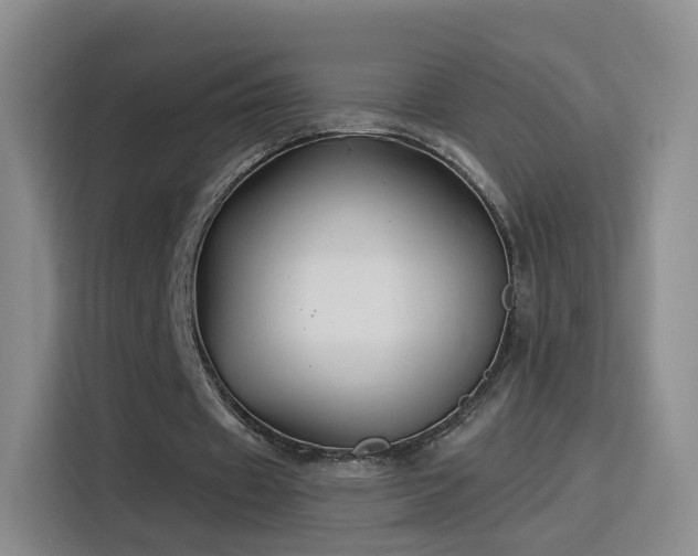 X0000115830433200911201508