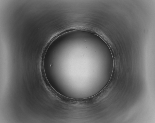 X0000115830434200911201508