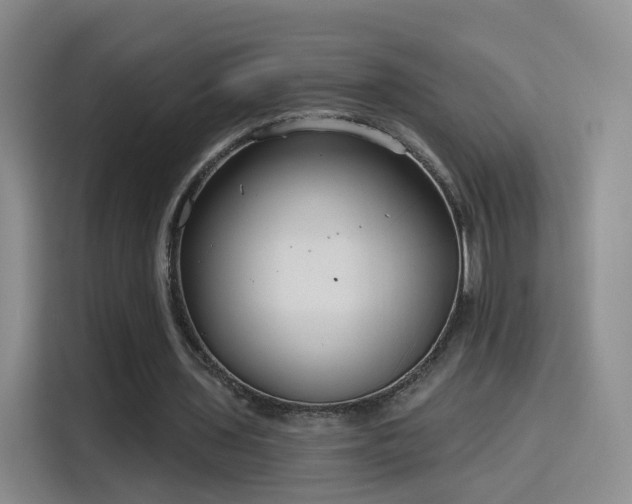 X0000115830435200911201508