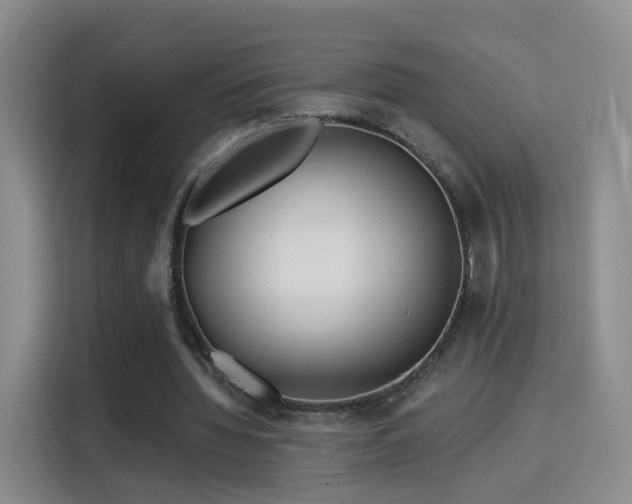 X0000115830436200911201508