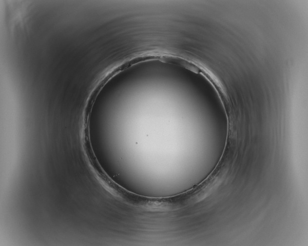 X0000115830437200911201508