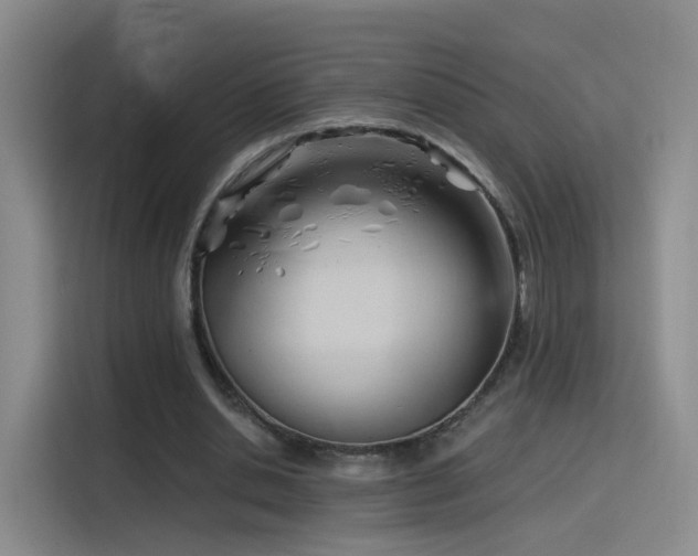 X0000115830438200911201508