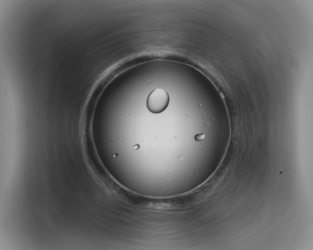 X0000115830440200911201508