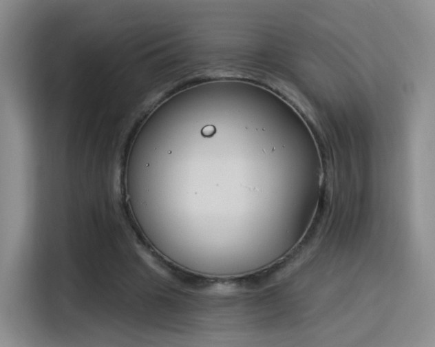 X0000115830441200911201508