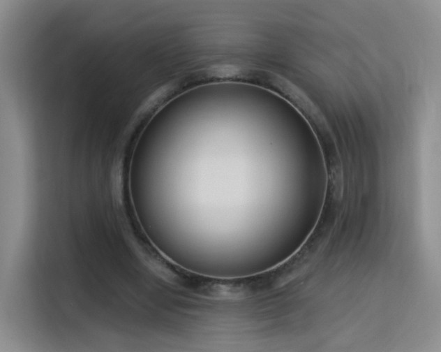 X0000115830442200911201508