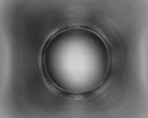 X0000115830443200911201508